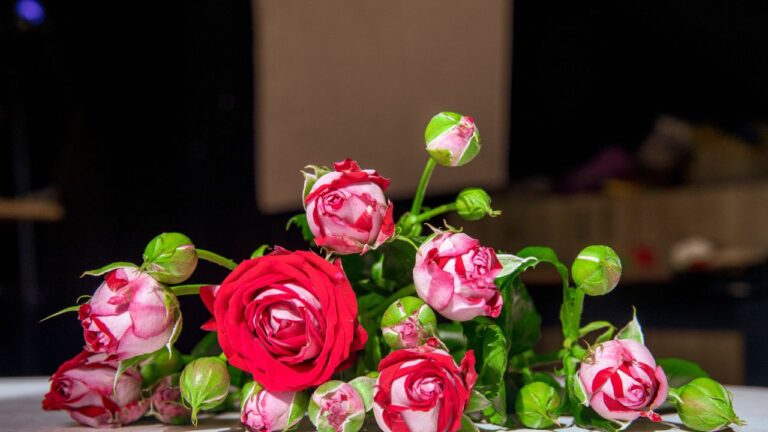 Top 10 Most Fragrant Roses That Smell Heavenly