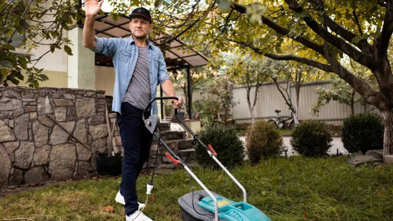 Best Edgers For Lawns