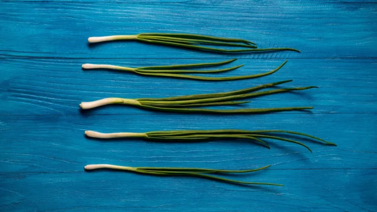 Best Green Onion Seeds for US Home Gardens
