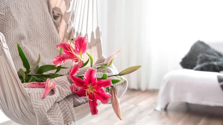 Flowers Starting With ac