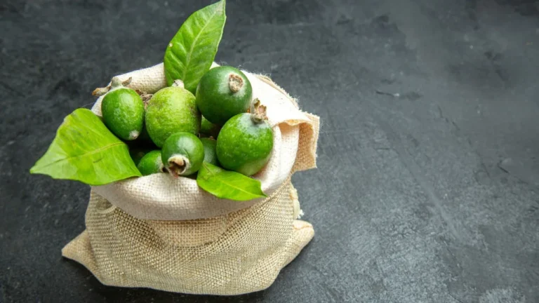 Tropical Guava Plant A Complete Guide for US Gardeners