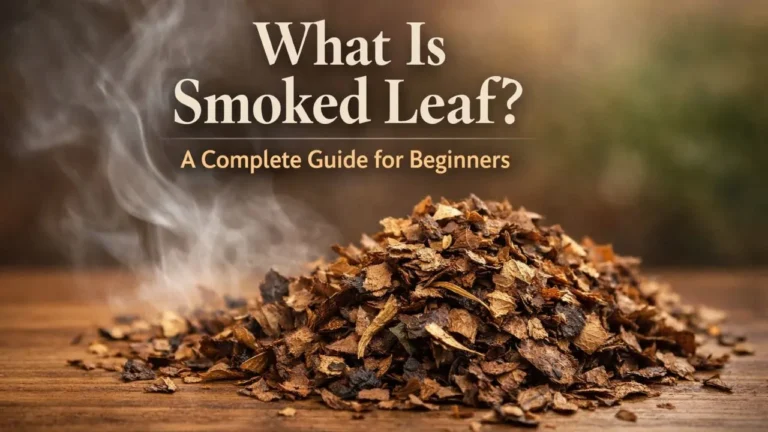 What Is Smoked Leaf A Complete Guide for Beginners