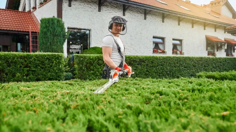 Best Turf Edger Top Picks for Clean Lawn Edges