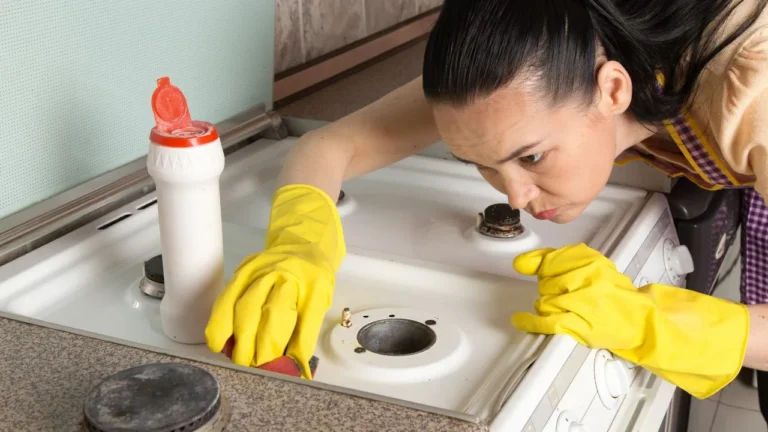 How to get Rid of Drain Gnats